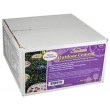 Cemento Jennifer's Mosaics para Exterior - 10lbs