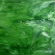 Vidrio Wissmach Glass color Verde WO-101 para Vitrales y Vitromosaico
