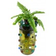 Kit Arte en Botellas: Conservador de Plantas